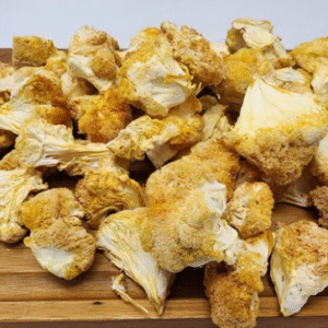 Lion's Mane Mushroom