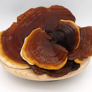 Reishi Mushrooms