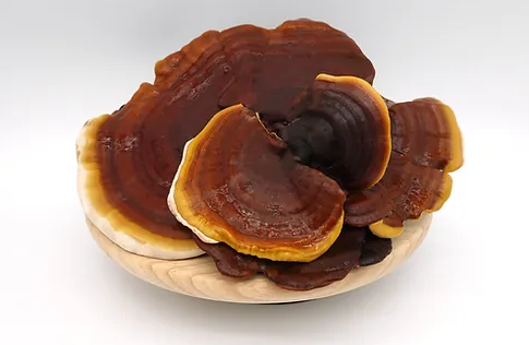 Reishi Mushrooms
