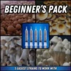 Mushroom Spore Syringes for Sale