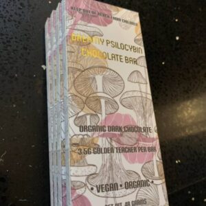 Dream Psilocybin Chocolate