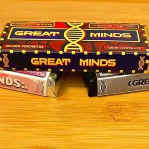 Great Minds Mushroom Chocolate Bars