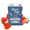 Desert Stardust Magic Mushroom Gummies - Strawberry