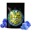 Enjoy Shrooms Bulk Magic Mushroom Gummies – Blue Raspberry – 50ct Bag.