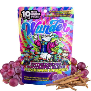 Kava Mushroom Gummies - High Potency