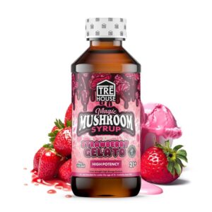 Magic Mushroom Syrup - Strawberry Gelato
